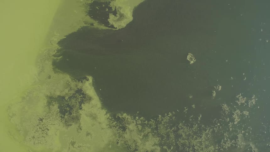 Aerial view of water glistening near a marshland in the ecosystem