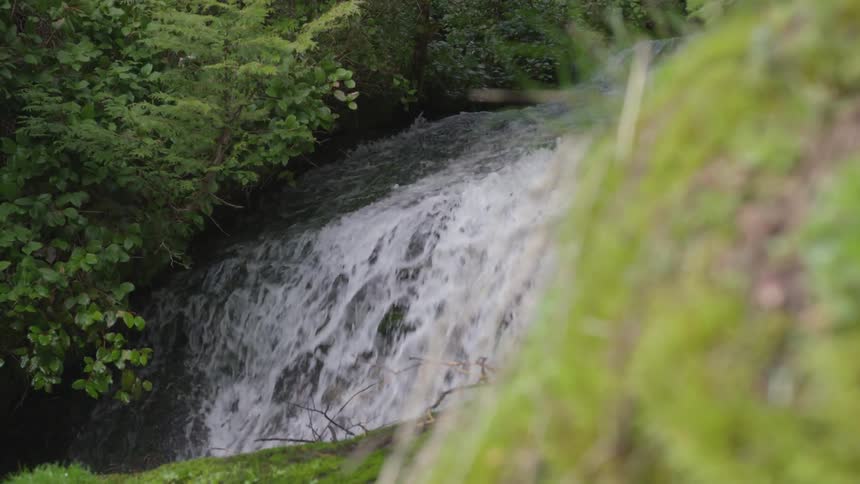 Water cascades down a waterfall surrounded by lush greenery