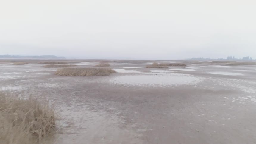 View of a marsh land with the city in the background