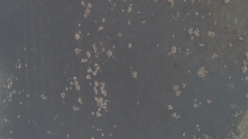 Birds eye view of the ground