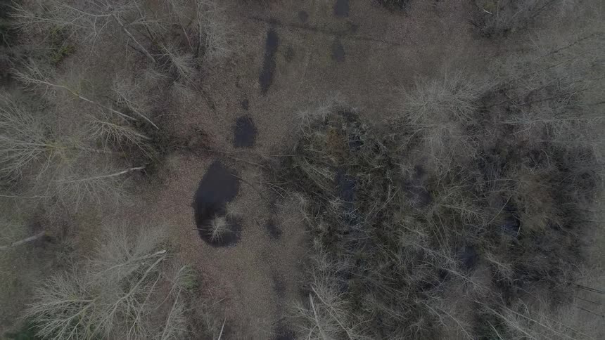 Birds eye view of a marsh area