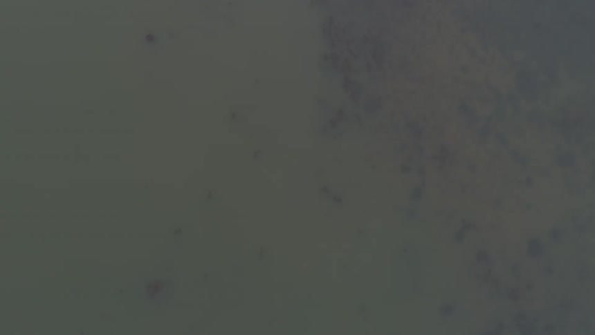 Grey and green dots