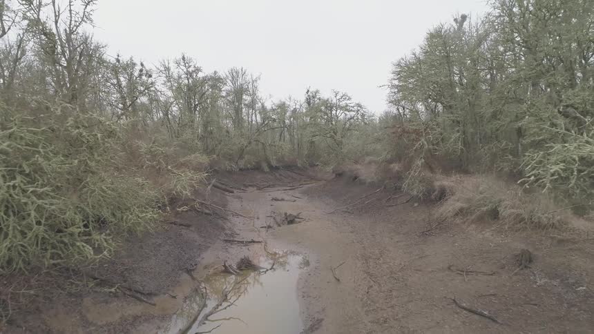 A mostly empty river winds through the woods