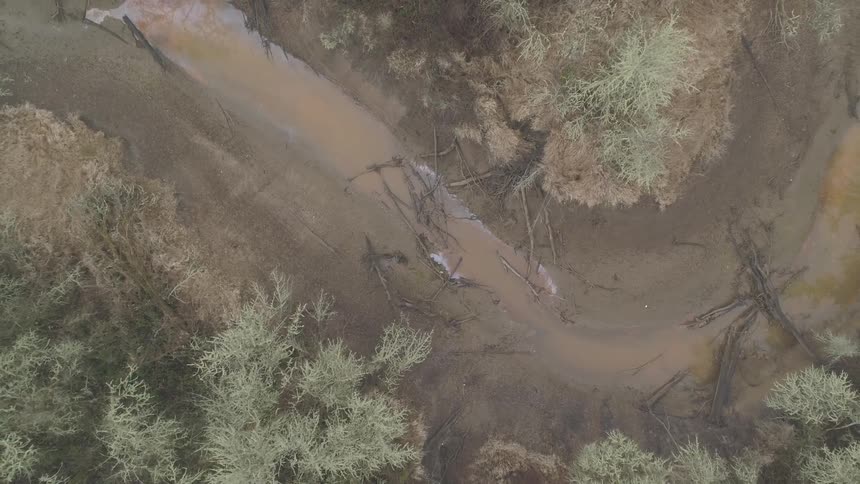 Fallen trees lay in a muddy stream that runs through a barren forest