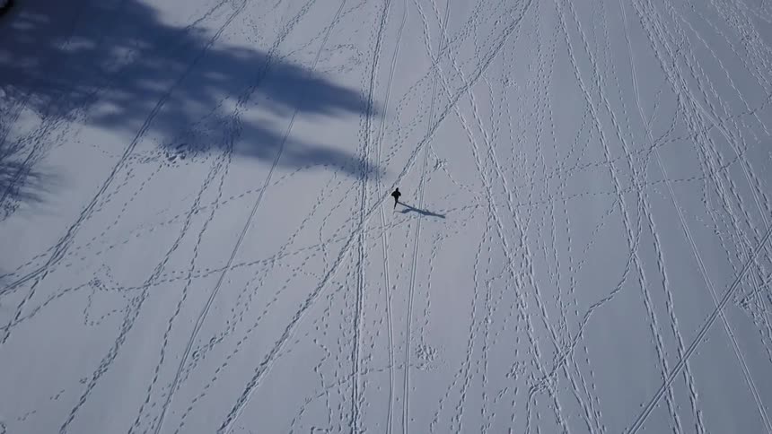 Aerial view of a person running in the snow