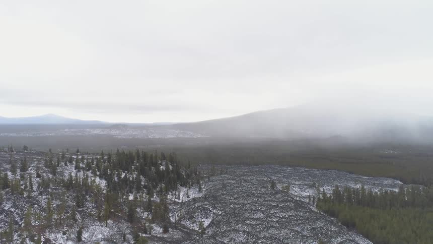 Flying over a forest that is covered in snow
