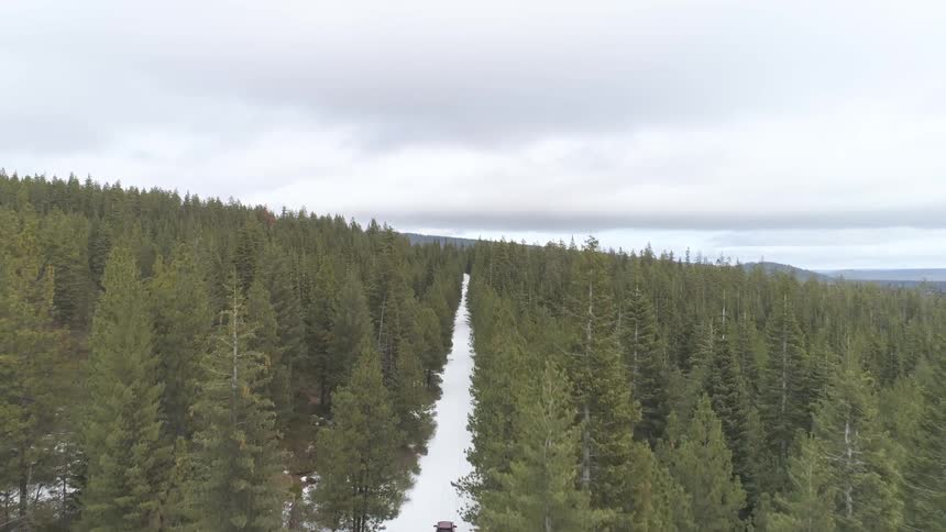Car driving in the snow in the middle of the forest