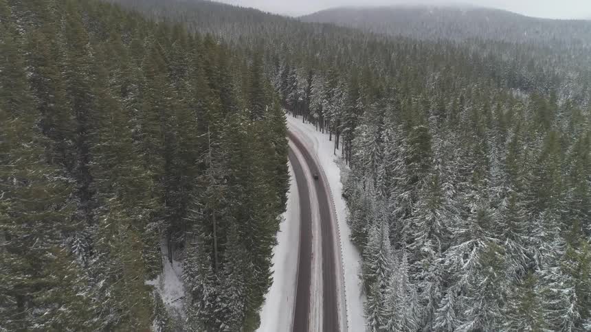 One lonely car on the forest road with snow on the ground