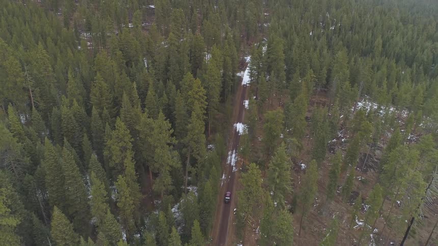 A car is driving in a forest area