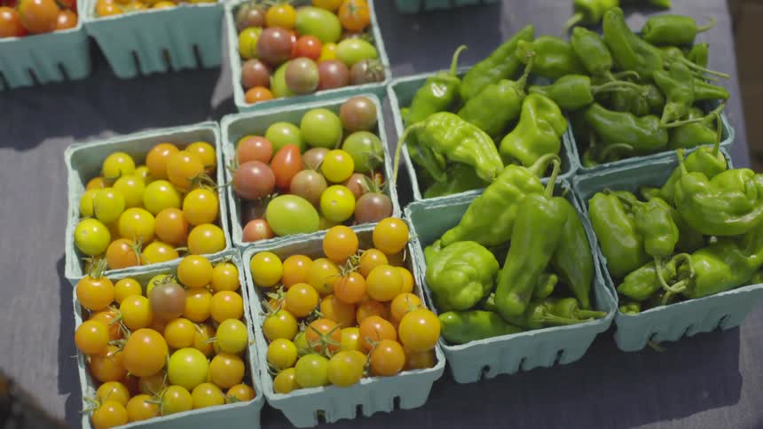 Fresh grape tomatoes and green peppers displayed in baskets on the table by day