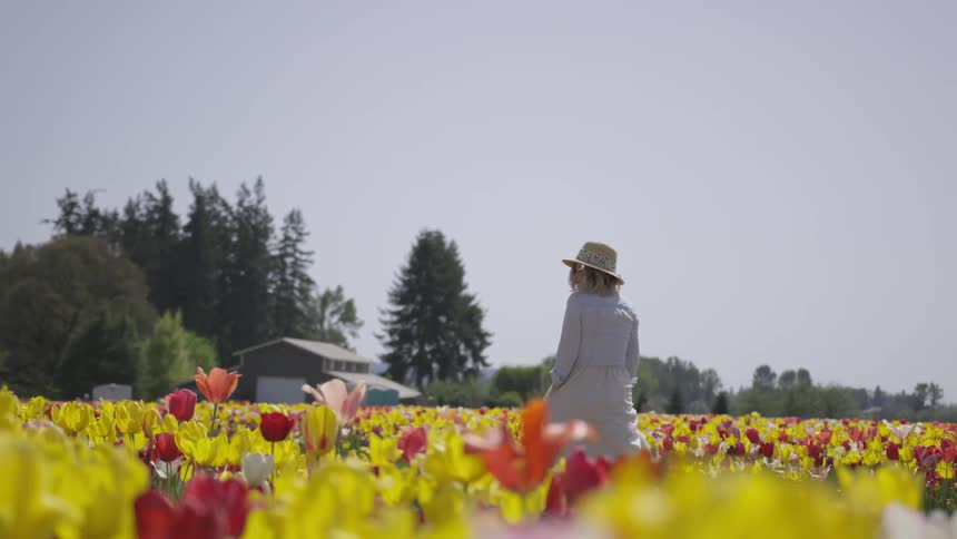 A woman spins and walks through a field of flowers