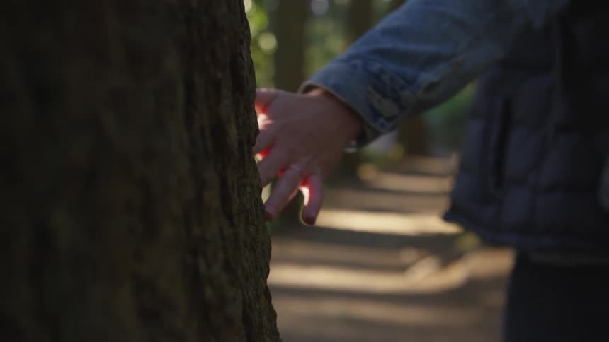 Human rubbing hand on tree them walking away