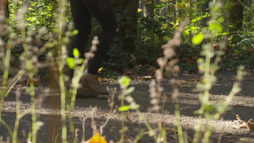A woman walks through a forest