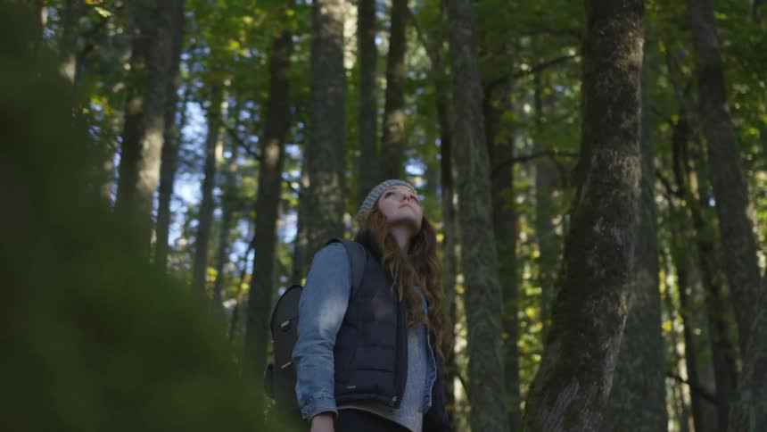 Woman wearing wooly hat and backpack looks up at trees in the forest by day