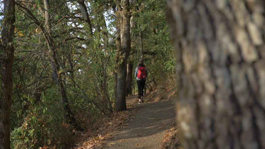 Woman walks down a trail in the forest