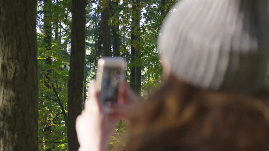 Person takes photo of tree with cell phone camera