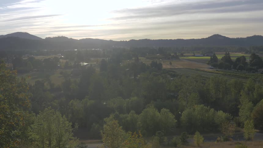 A rural valley is full of many green trees standing under the warmth of the sun