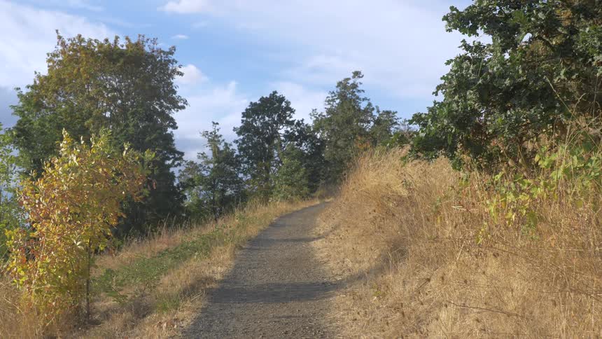 A trail runs through a field