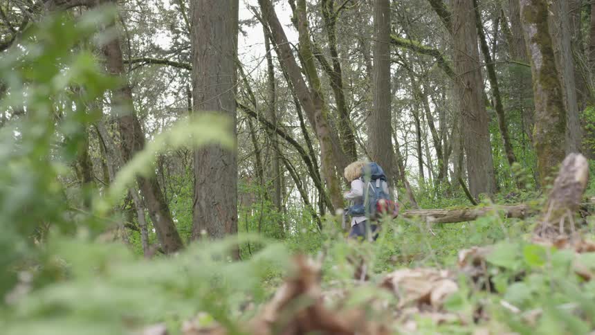 A hiker walks through the forest with a large pack on
