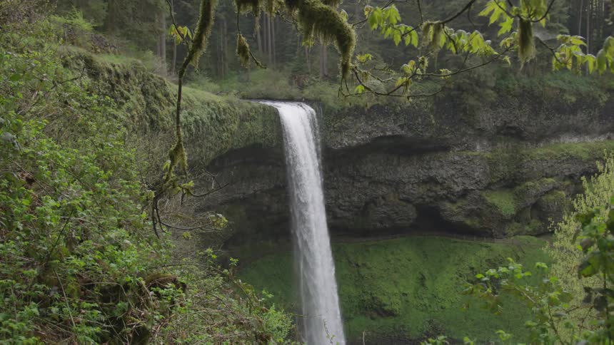 A waterfall in a forest during the day