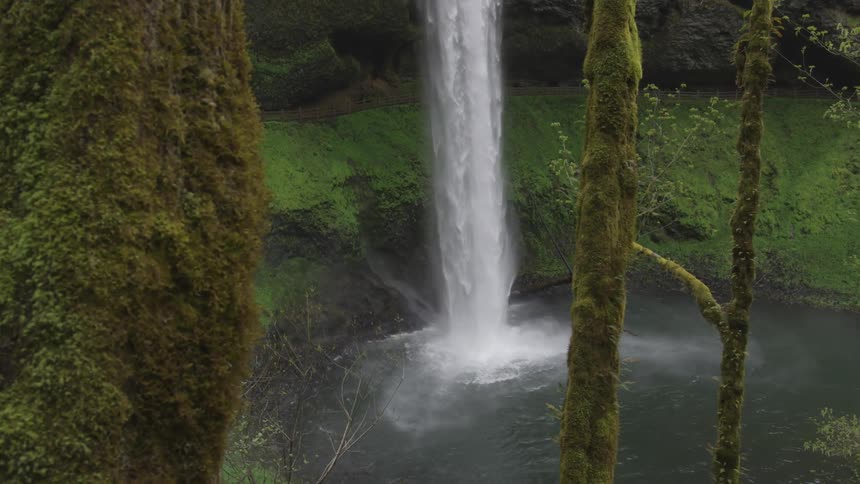 Waterfall pouring water into lake in the middle of a forest