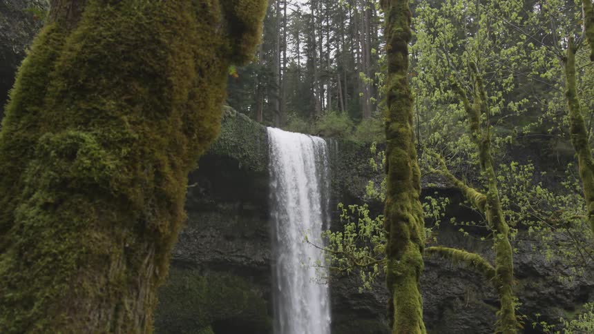 A waterfall flows over a cliff near moss covered trees in a forest