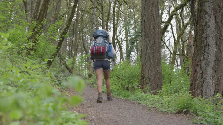 Hiker walks along path in forest carrying pack