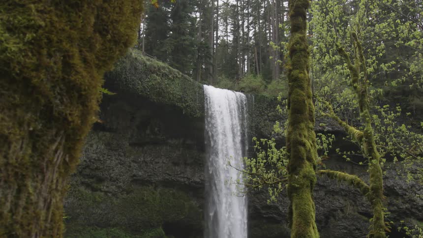 Water flows over the cliff in the forest
