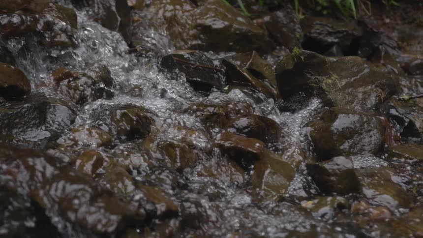 Water flows down a rocky stream bed