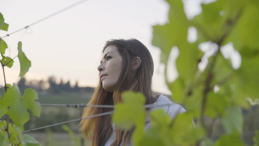 Woman looks through the grape vines