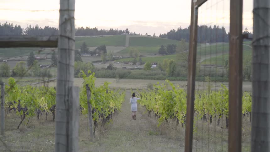 A person is walking in a remote area