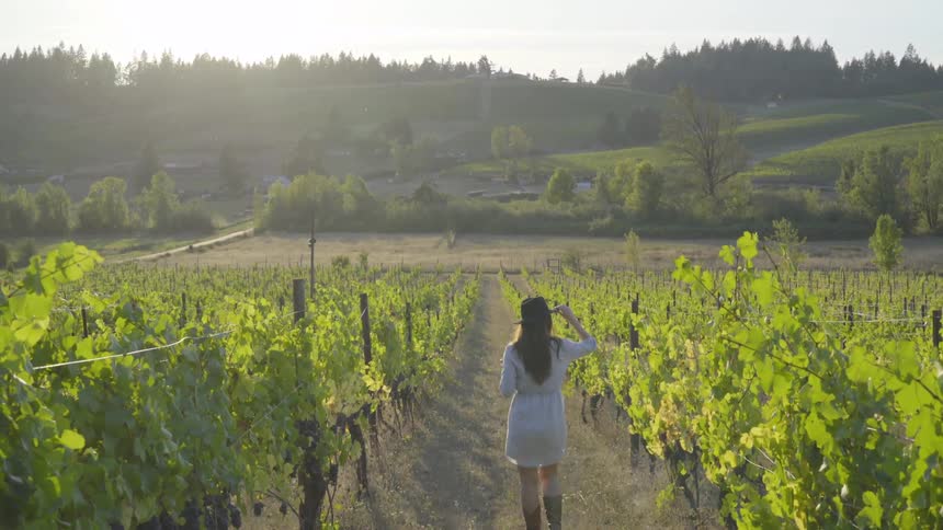 A woman walks through a vineyard holding a glass of wine