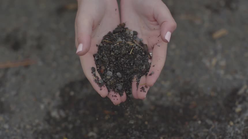 Woman picking up dirt