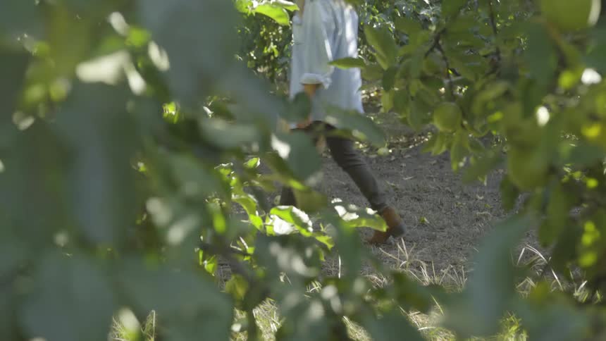 Woman walks down a path through bushes