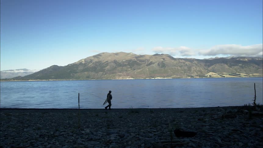 A man is walking along the shore on a sunny day