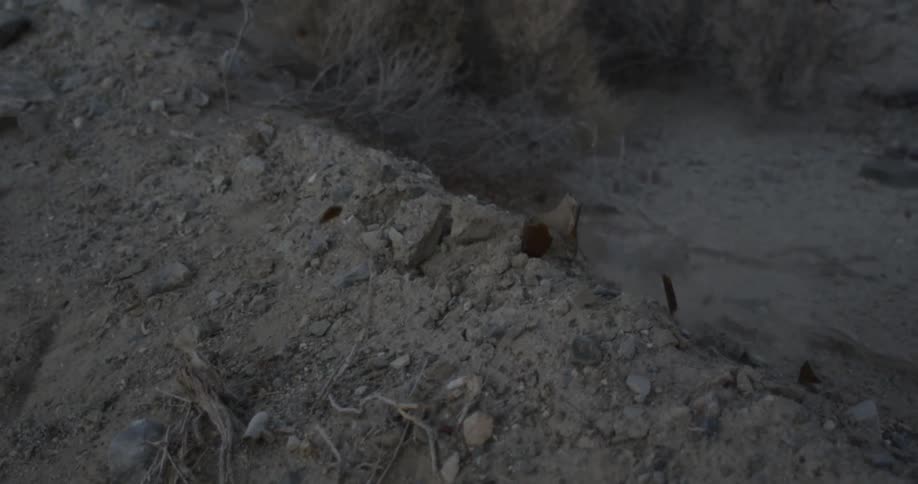 A rock is thrown and smashes a glass bottle