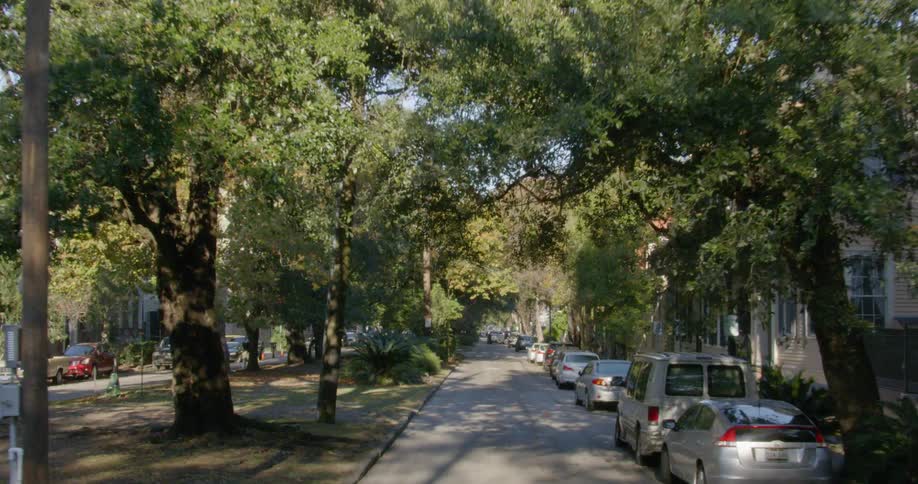 Driving down street past buildings and trees