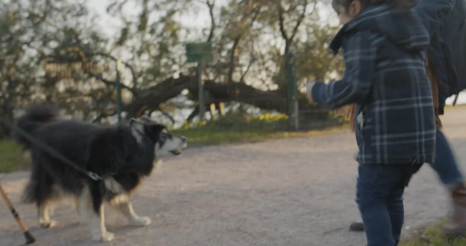 A very excitable dog immediately jumps away from a woman and child who are trying to pet it and they barks at them aggressively as they jump back from the feisty dog
