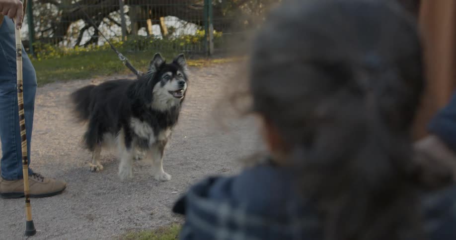 A dog on a leash being held by an old man with a cane barks at an old woman and a young girl