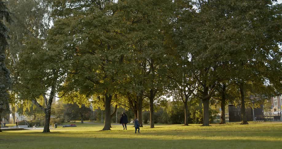 A child running through a field in a park