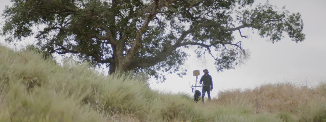 A man works on a machine underneath a giant tree