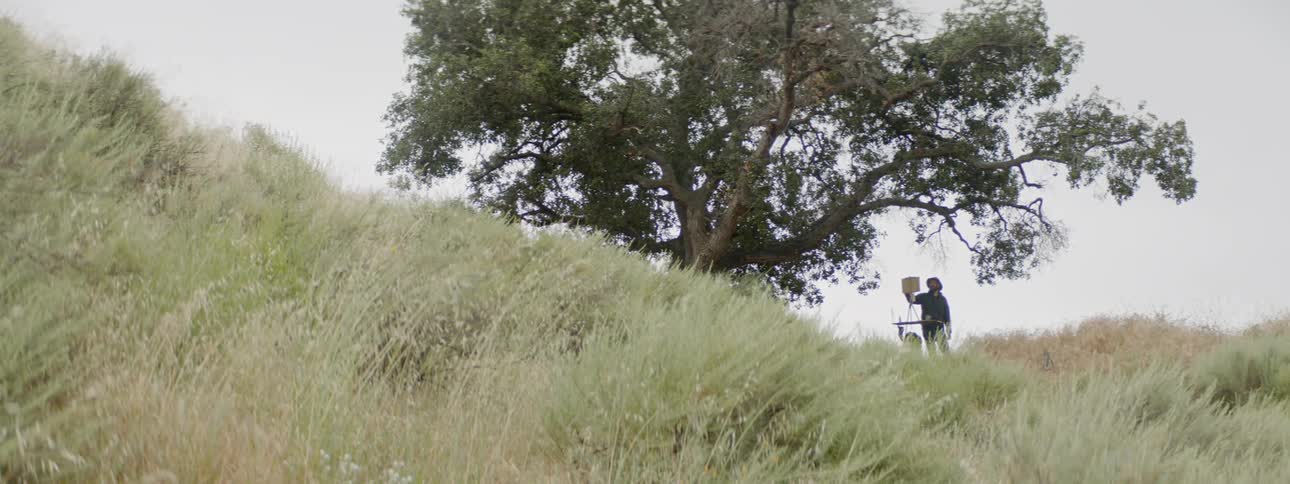 Artist paints on an easel under a tree in a grassy field