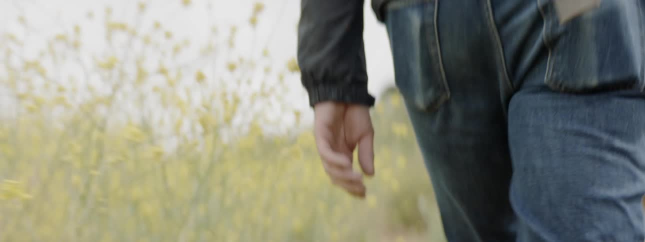 Man walks through wildflowers