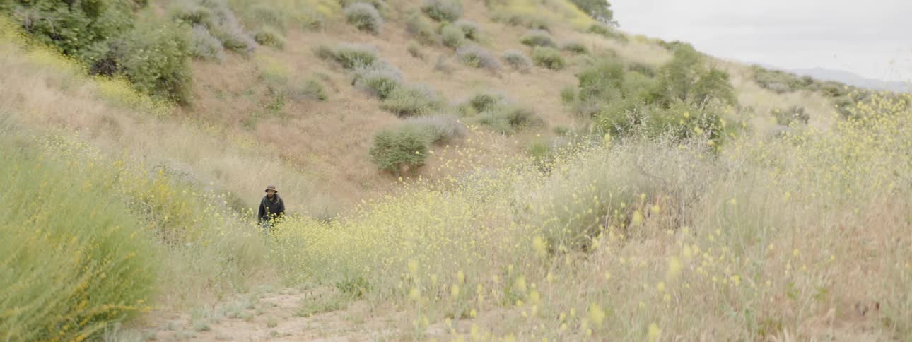 Person walking in the field