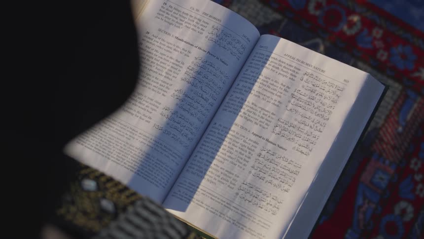 A person reading a book
