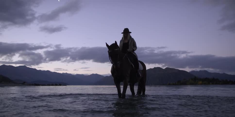 A horse standing in water