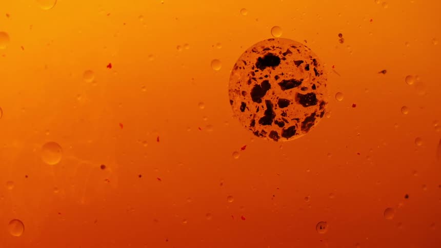Orange water with black blobs