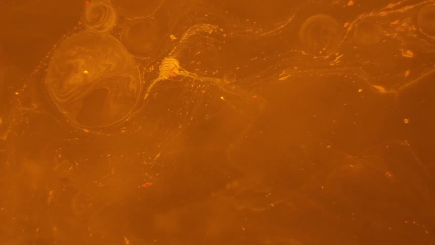 Bubbles flow through orange liquid