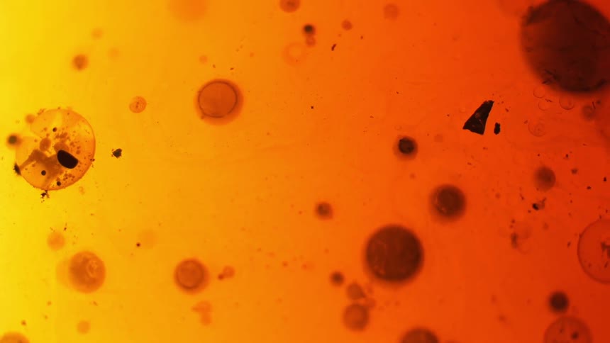Orange water with black blobs