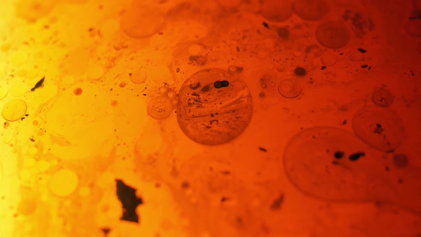 Water bubbles move under a microscopic sample